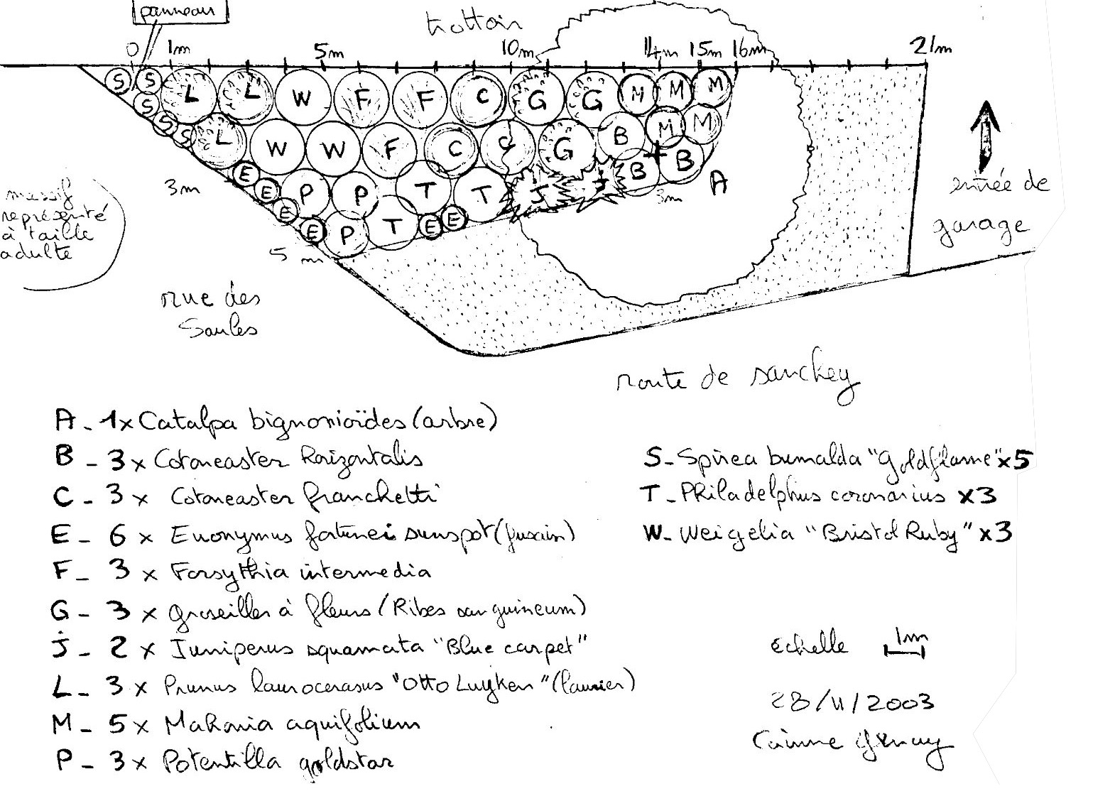 Plan de plantation