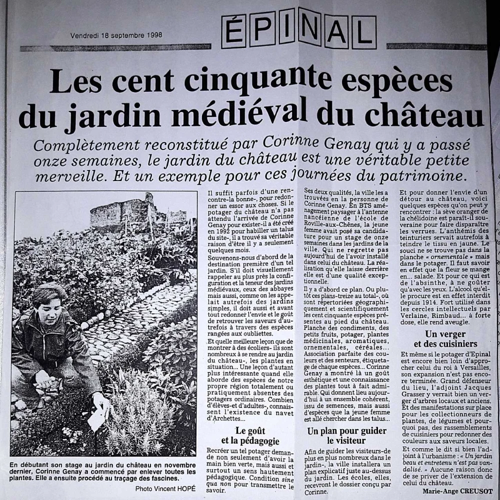 Rénovation à Epinal
