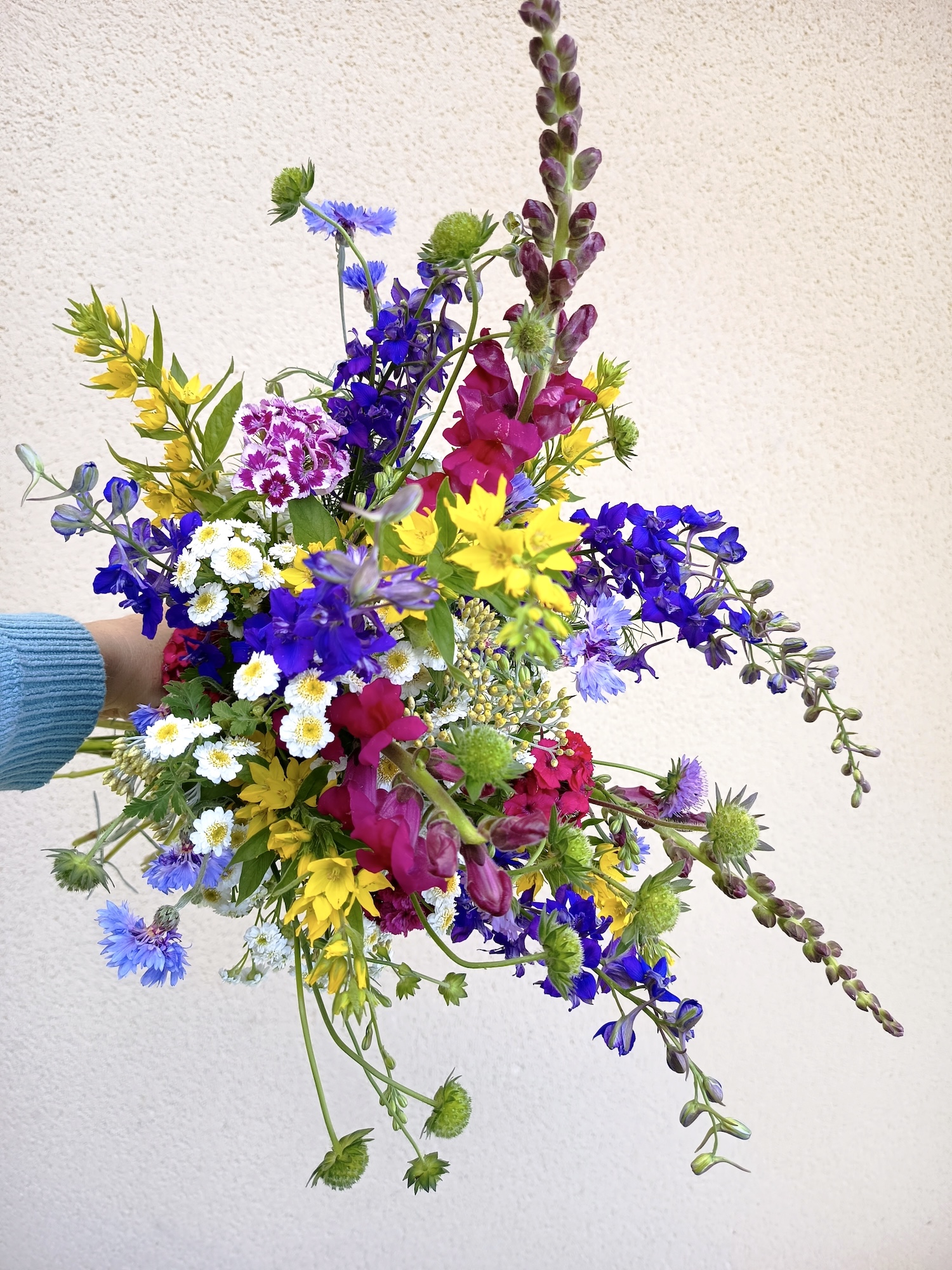 bouquet coloré- fleurs de début juin