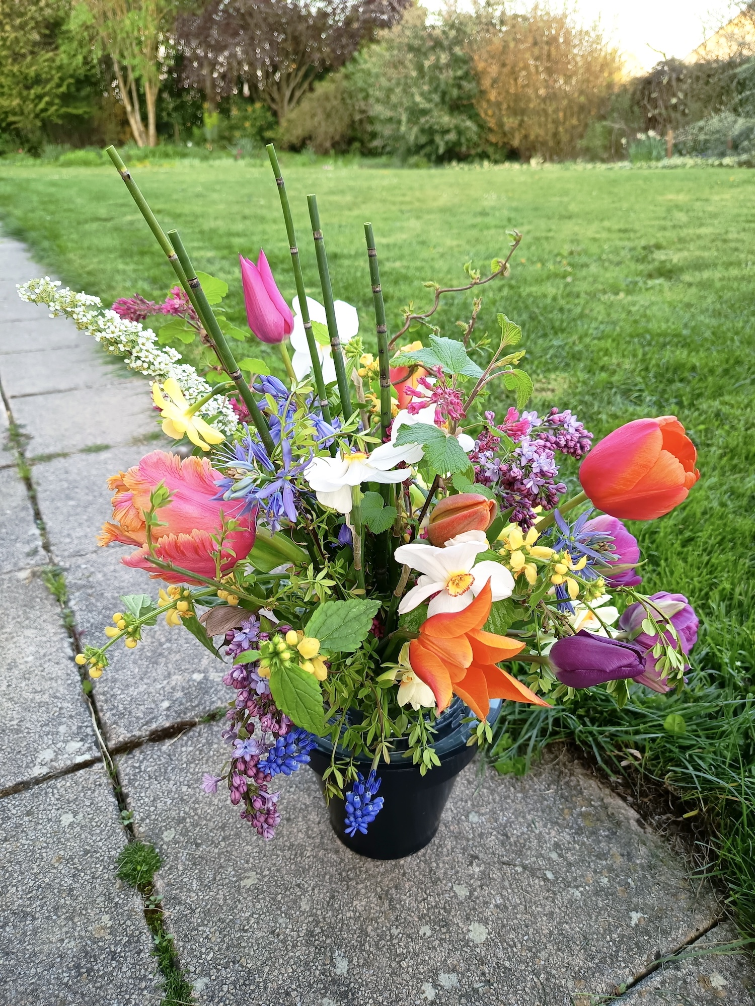 bouquet printemps - fleurs de début fin avril