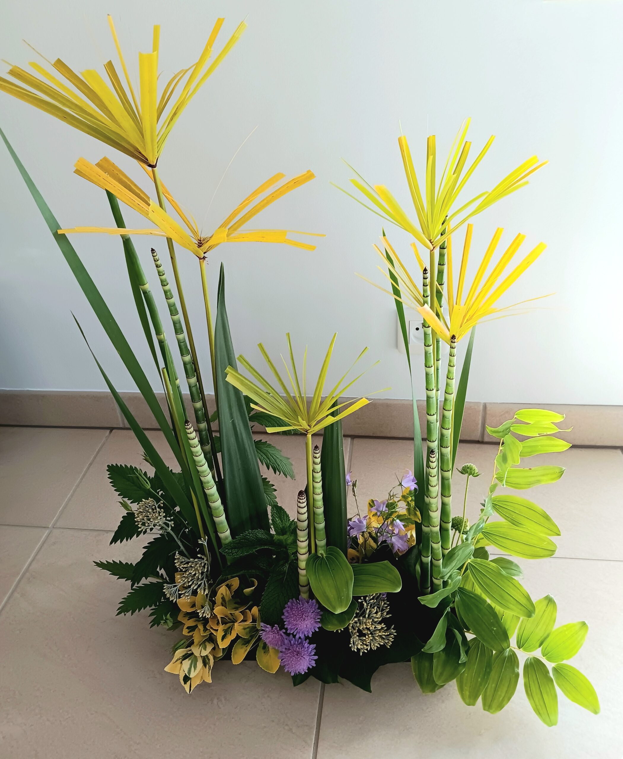 composition moderne de feuillages