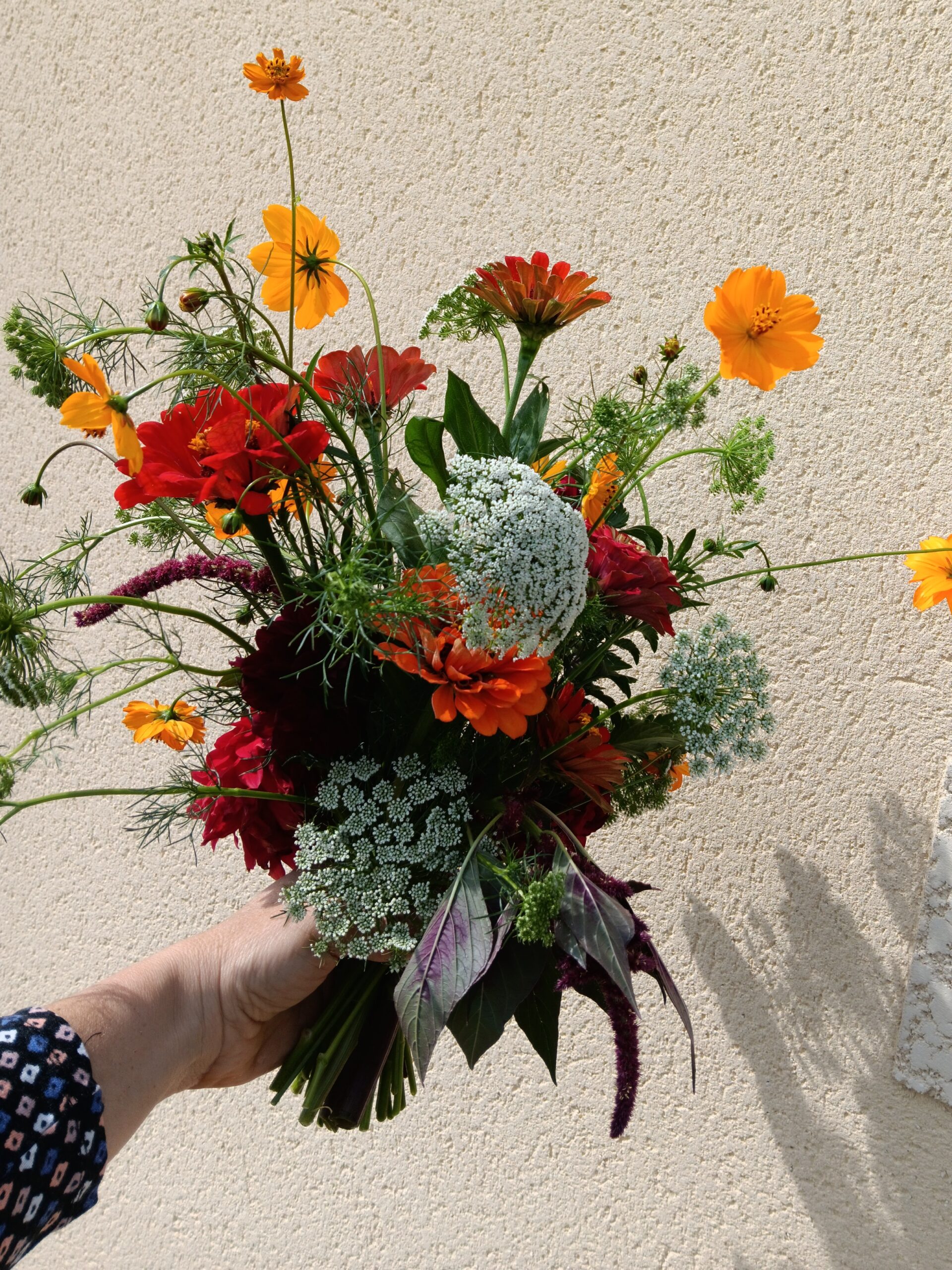 petit bouquet champetre- fleurs de début aout
